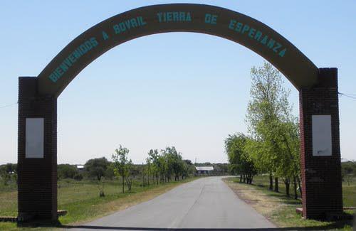 599476_101793229972306_1536367056_n