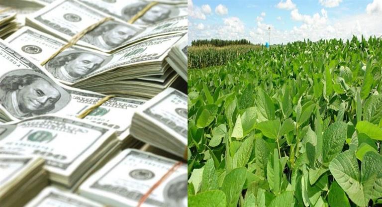 La soja transgénica toca los u$s&nbsp;400