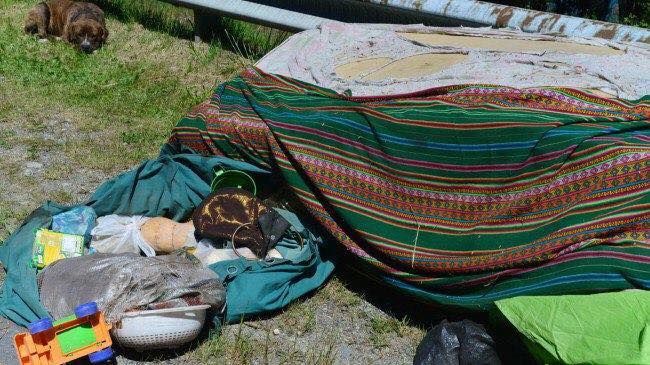 24067935_10213134501704845_6163310806918073387_n