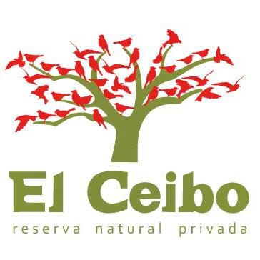 el ceibo