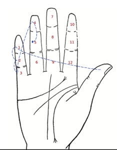 Revés para los hermanos&nbsp;Milei