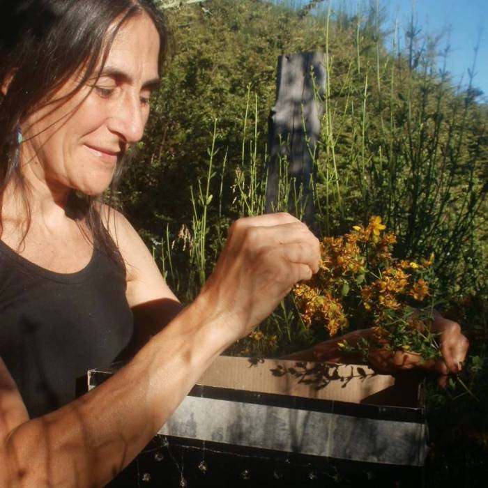 La médica que cura con&nbsp;plantas