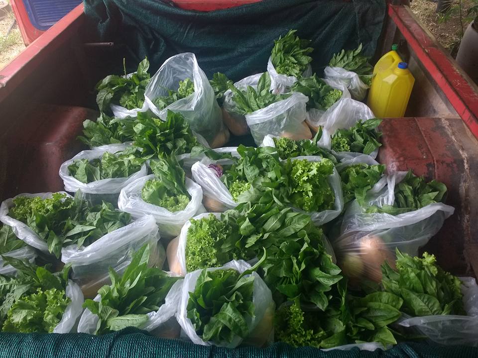 19961378_129523041190781_9191156125000056209_n