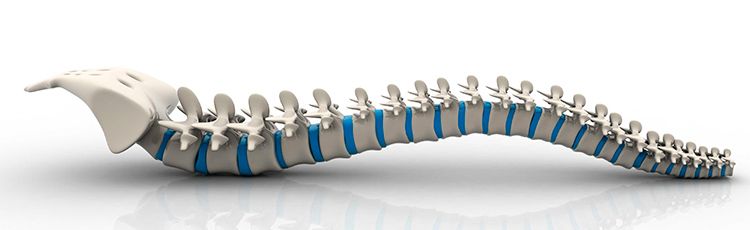 Pilates para cuidar tu&nbsp;columna