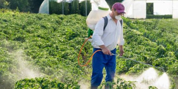 Celiaquía y glifosato