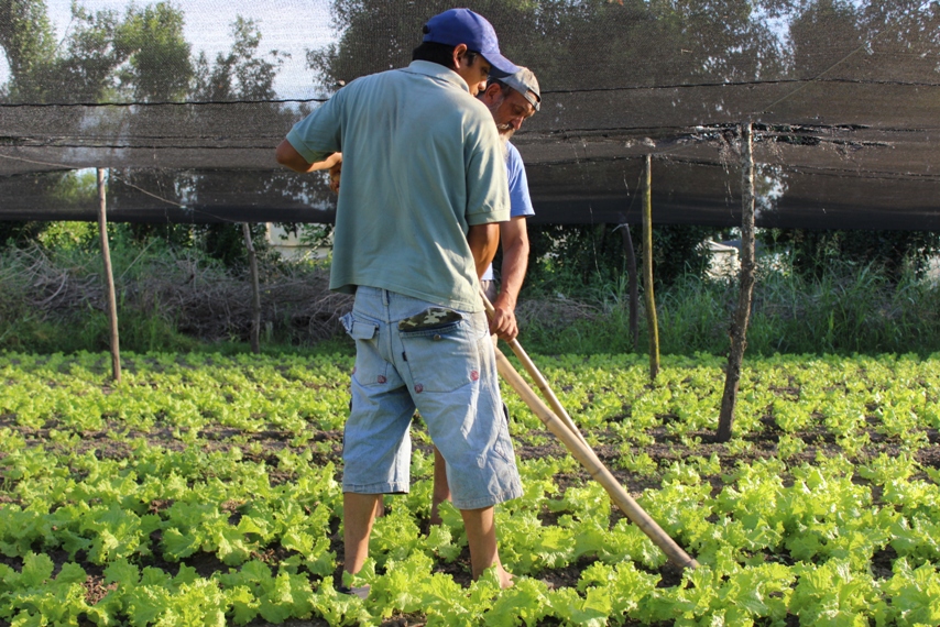 Capacitación en agroecología