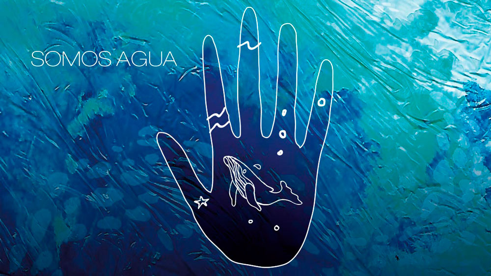 Muestra de Cine&nbsp;Ambiental