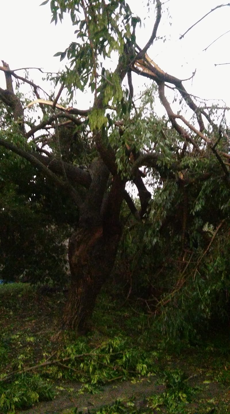 Enviaron ayuda social a La&nbsp;Paz