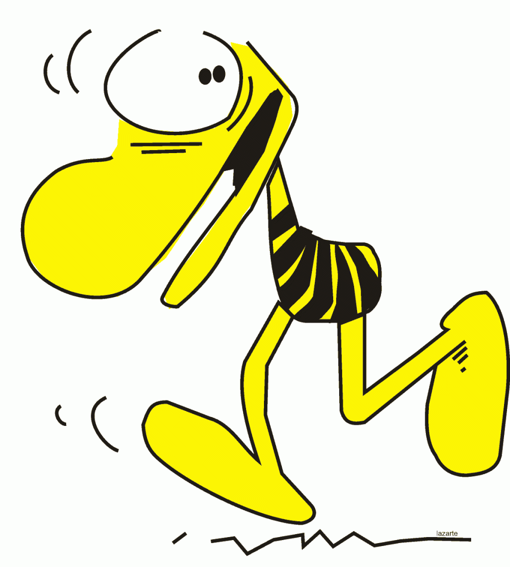 “Borom bombom, borom bombom Julio Solanas&nbsp;Gobernador”