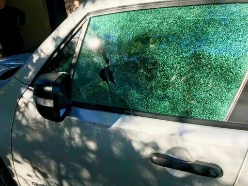 María Alejandra Viola