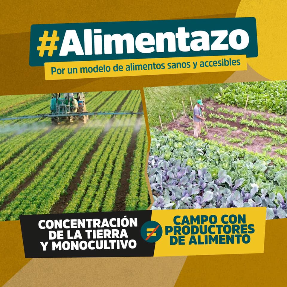 alimentazo