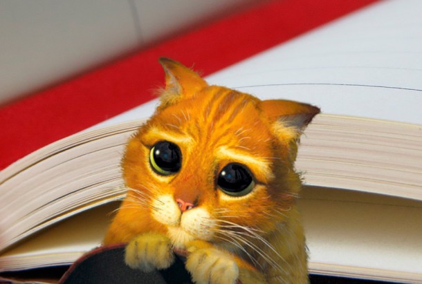 El Presidente pidió&nbsp;perdón