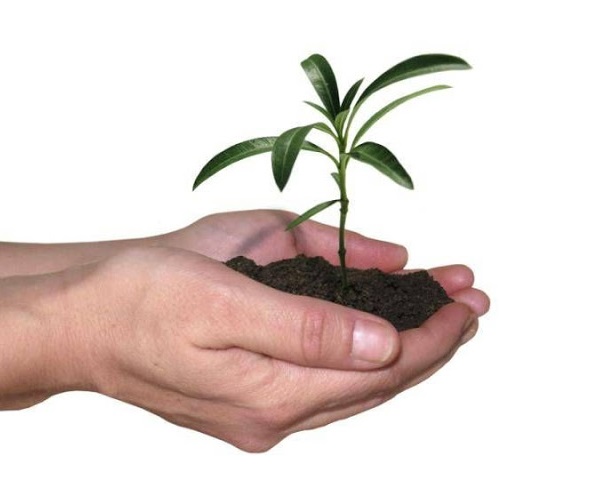 Taller sobre Agroecología