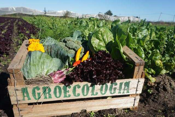 agroecología