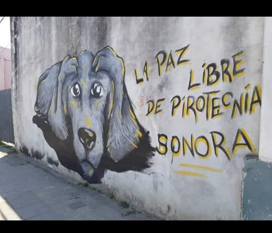 La Paz ya es «libre» de pirotecnia con&nbsp;estruendo