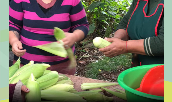 «Tu trabajo cuenta, Vos&nbsp;contás»