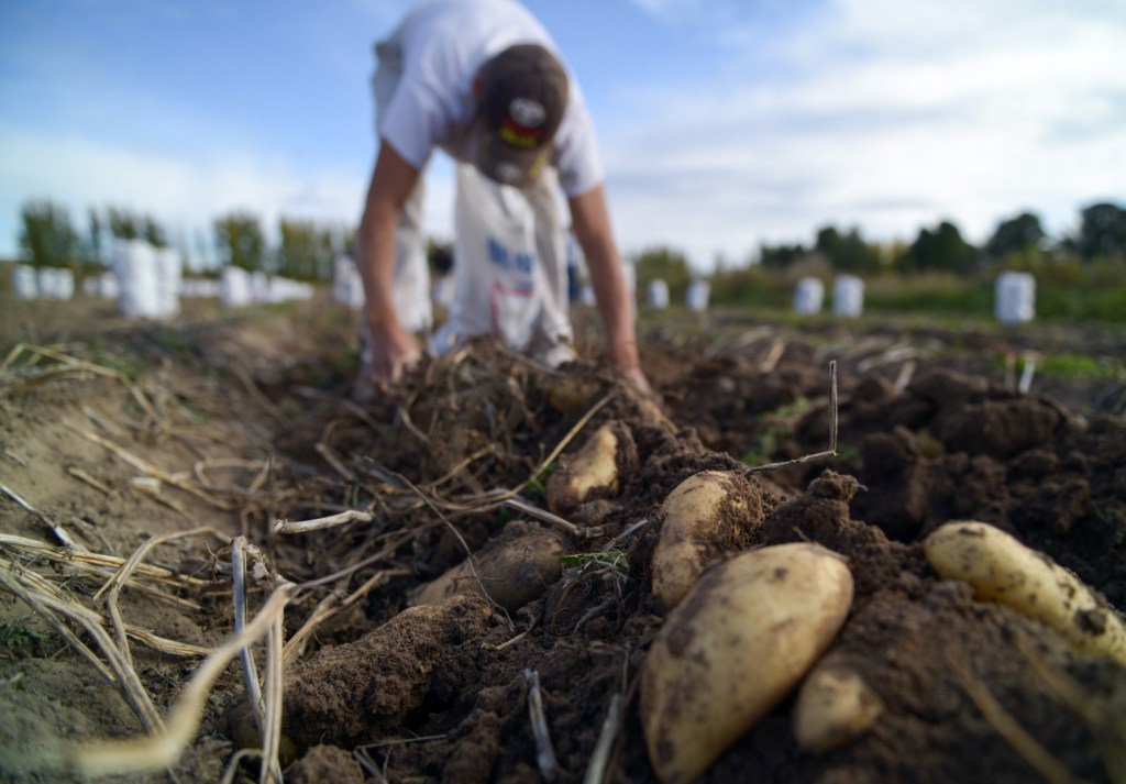 Congreso de Alimentos de la Agricultura Familiar y la Economía&nbsp;Social