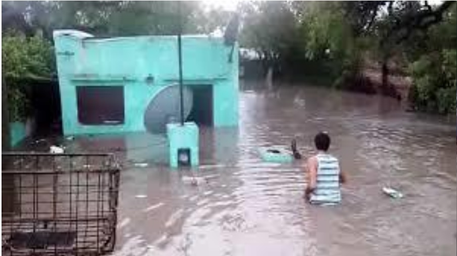 Los olvidados del&nbsp;2016