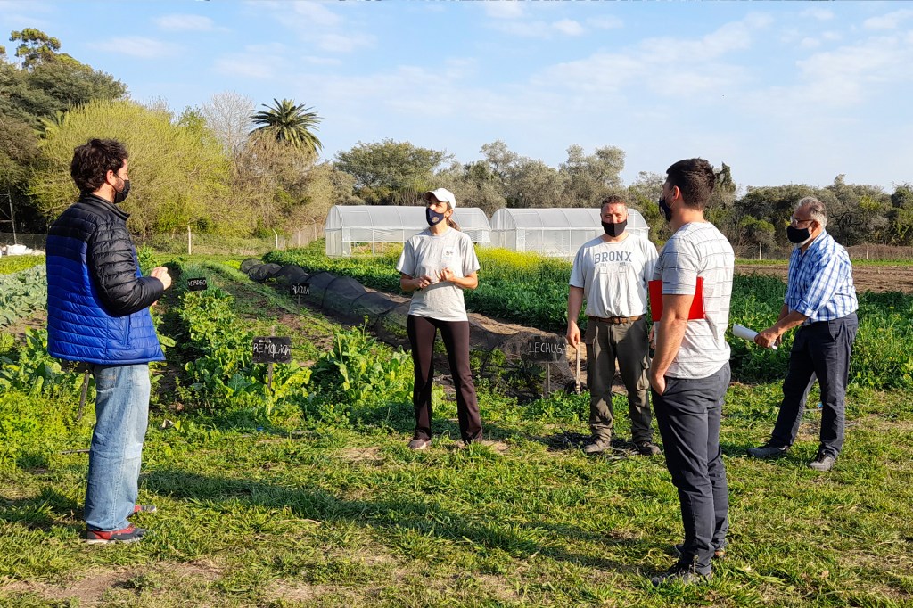 Programa Nacional «Sembrar Soberanía&nbsp;Alimentaria»