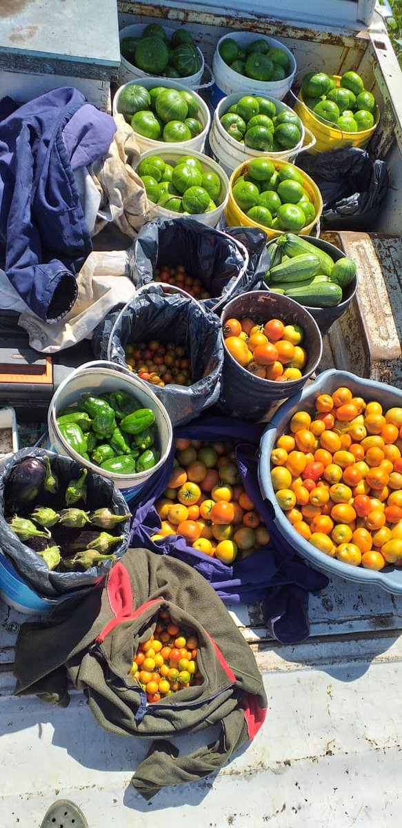 Se realizó Congreso de&nbsp;Agroecología