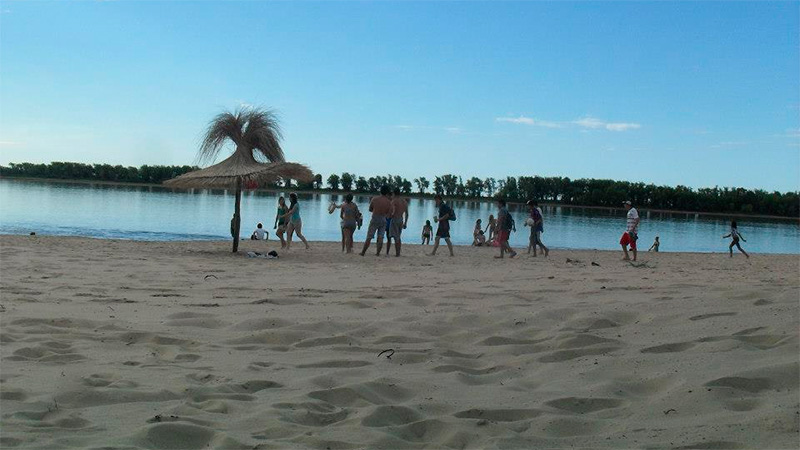 Actividades del verano