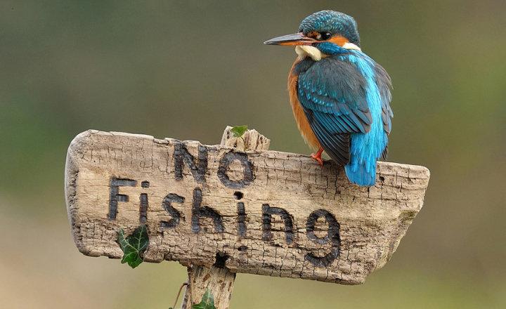Larreta rompió con el&nbsp;PRO