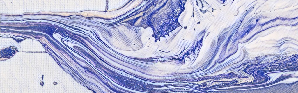 DNU, autocracia, extranjerización y regresión socioambiental 