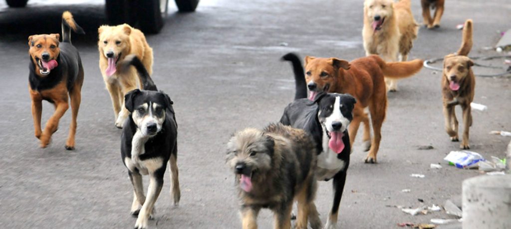 Ultimátum a Martín&nbsp;Menem