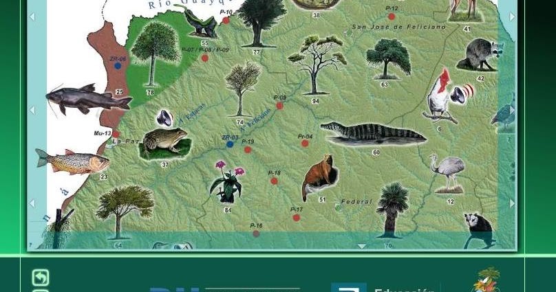 Nuevos guarda faunas ad&nbsp;honorem