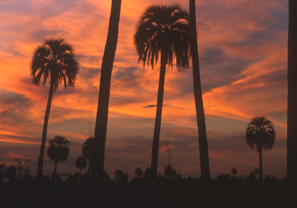 «Producir y conservar es&nbsp;posible»