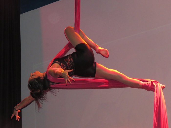 Taller de Acrobacias&nbsp;Aéreas