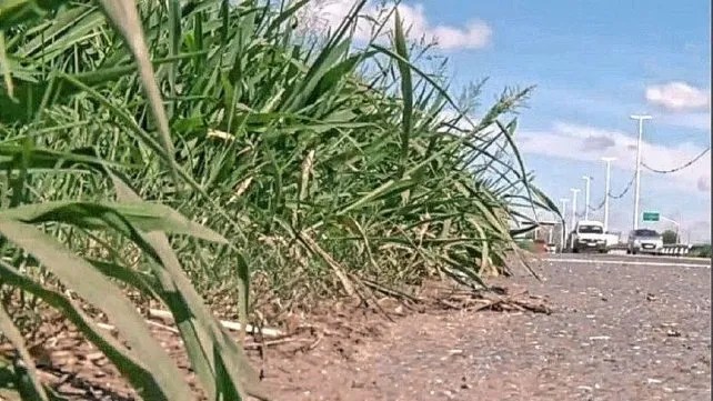 Justicia ordena a Vialidad que cumpla el mantenimiento de&nbsp;Circunvalación