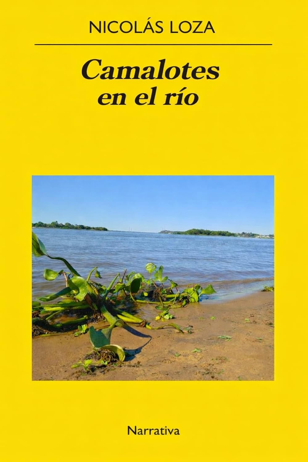 Nuevo libro: «Camalotes en el&nbsp;Río»